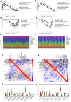 Identification and Validation of ATF3 Serving as a Potential Biomarker and Correlating With Pharmacotherapy Response and Immune Infiltration Characteristics in Rheumatoid Arthritis